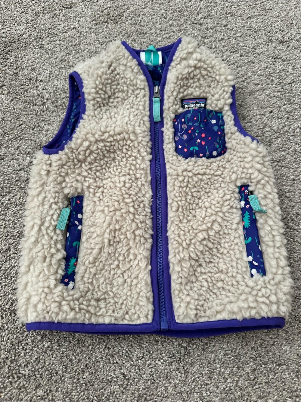Patagonia Vest